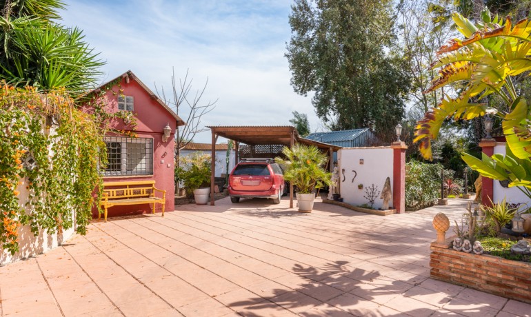 Sale - Finca / Country Property -
Daya Nueva - Daya Nueva - Country