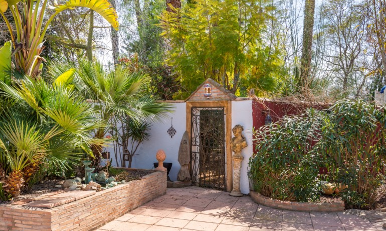 Sale - Finca / Country Property -
Daya Nueva - Daya Nueva - Country