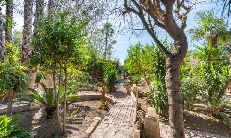 Sale - Finca / Country Property -
Daya Nueva - Daya Nueva - Country