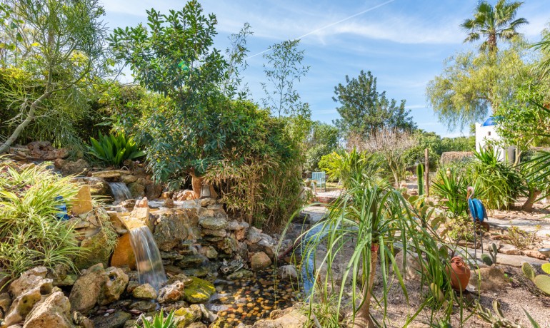 Sale - Finca / Country Property -
Daya Nueva - Daya Nueva - Country