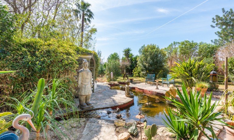 Sale - Finca / Country Property -
Daya Nueva - Daya Nueva - Country