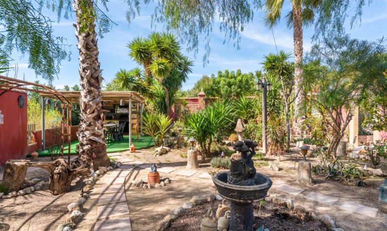 Sale - Finca / Country Property -
Daya Nueva - Daya Nueva - Country