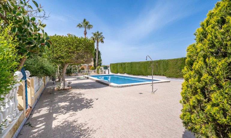 Sale - House -
Guardamar del Segura - El Moncayo