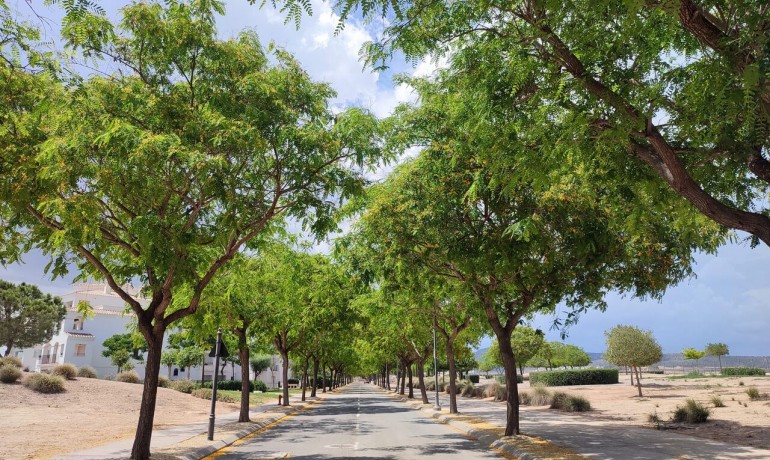 Venta - Apartamento / piso -
Hacienda Riquelme Golf Resort - Hacienda Riquelme Golf Resort - Centre