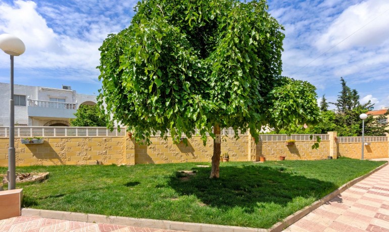 Venta - Apartamento / piso -
Torrevieja - El Chaparral