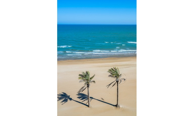 Venta - Apartamento / piso -
Guardamar del Segura - Guardamar