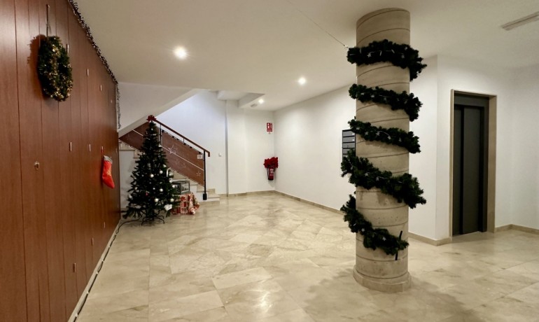 Sale - Apartment / Flat -
San Miguel de Salinas - San Miguel - Town