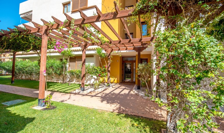 Sale - Apartment / Flat -
Torrevieja - Punta Prima