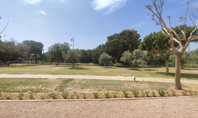 Sale - Apartment / Flat -
Hacienda Riquelme Golf Resort - Hacienda Riquelme Golf Resort - Centre