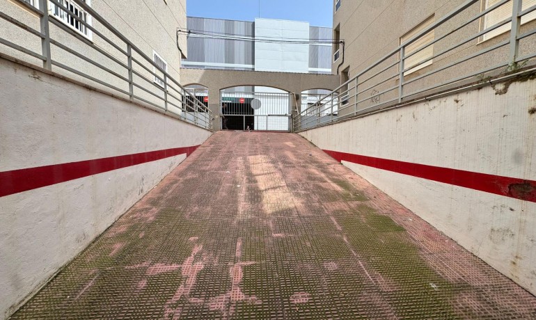 Sale - Apartment / Flat -
Torrevieja* - Estacion de autobuses