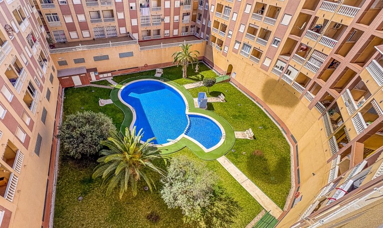 Sale - Apartment / Flat -
Torrevieja* - Parque de las Naciones