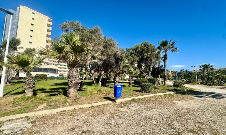 Sale - Apartment / Flat -
Torrevieja* - Cabo cervera