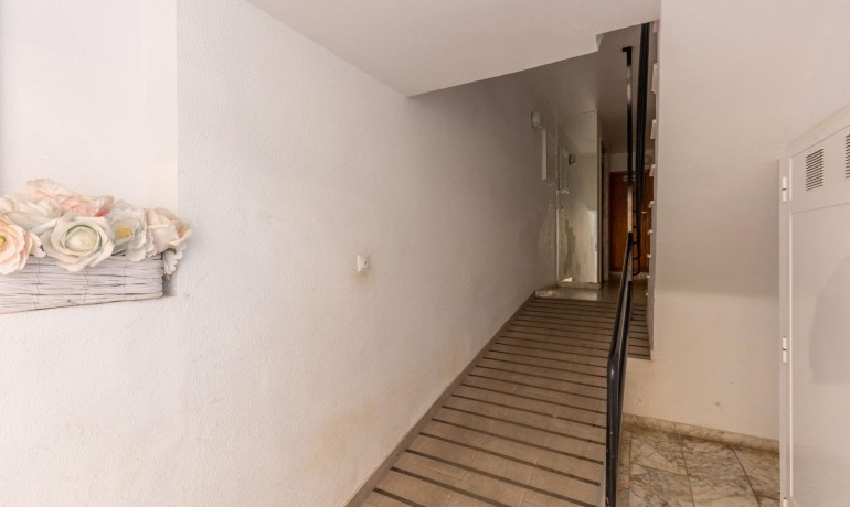 Sale - Apartment / Flat -
Torrevieja* - Nueva Torrevieja