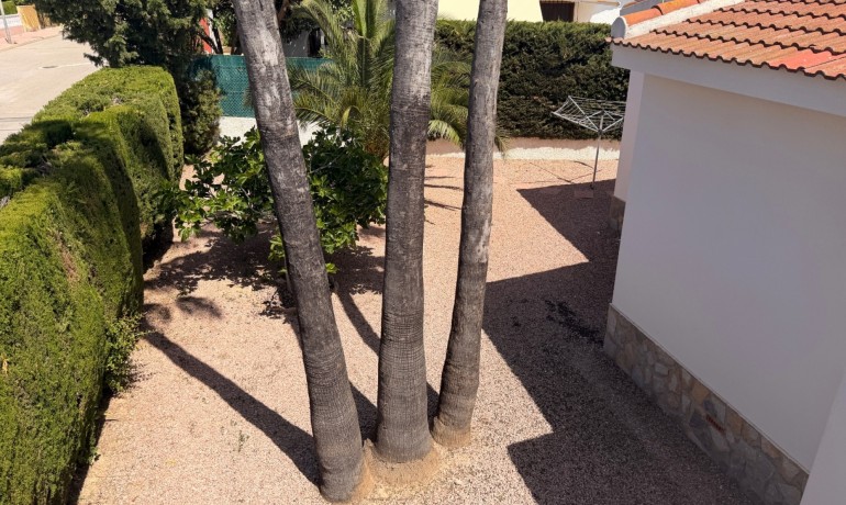 Sale - Villa Detached -
Cuidad Quesada* - Ciudad Quesada