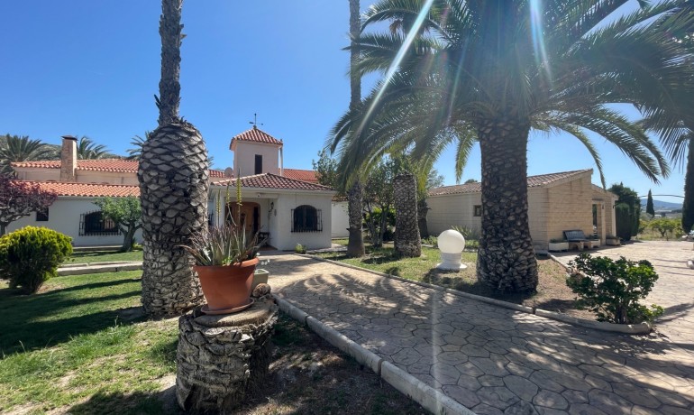 Revente - Finca Country Property -
Elda