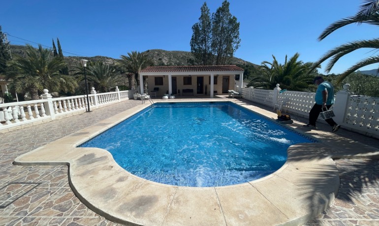 Revente - Finca Country Property -
Elda