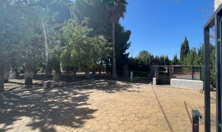 Revente - Finca Country Property -
Elda