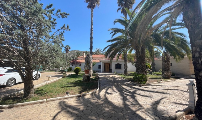 Revente - Finca Country Property -
Elda