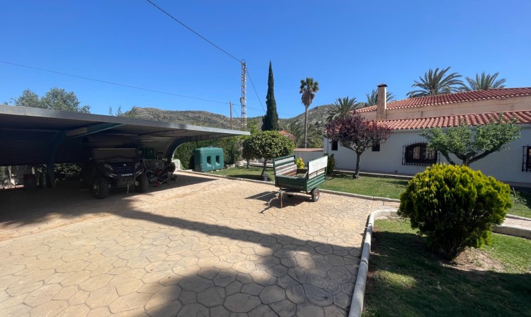Revente - Finca Country Property -
Elda