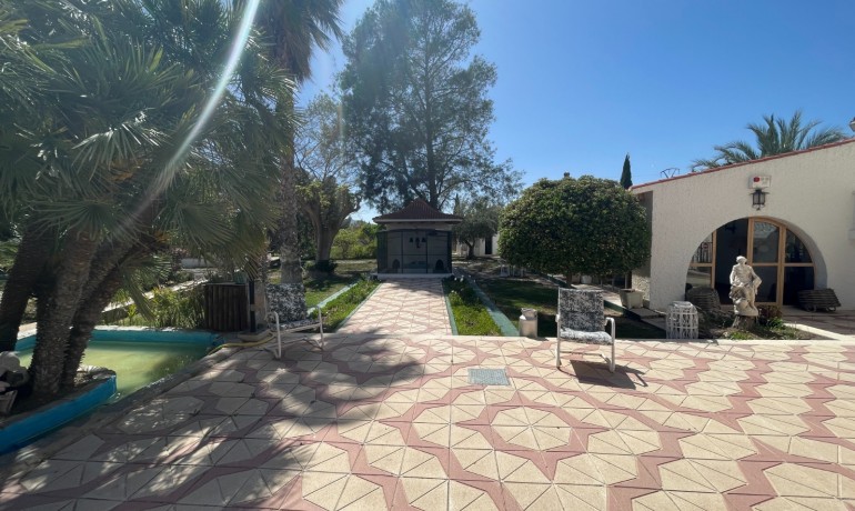 Revente - Finca Country Property -
Elda