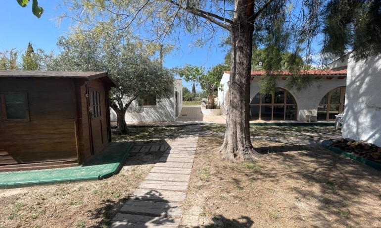 Revente - Finca Country Property -
Elda