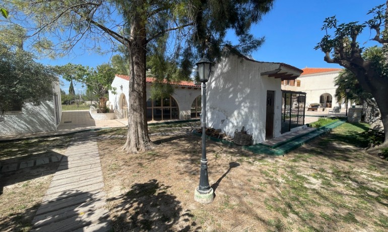 Revente - Finca Country Property -
Elda
