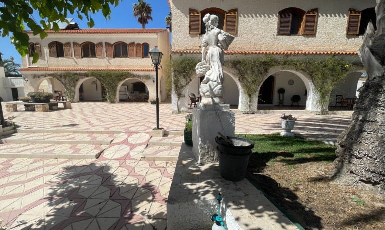 Revente - Finca Country Property -
Elda