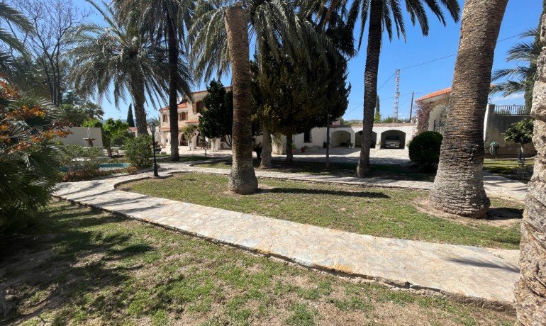 Revente - Finca Country Property -
Elda