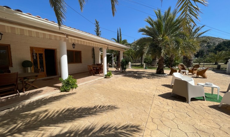 Revente - Finca Country Property -
Elda