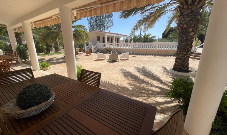 Revente - Finca Country Property -
Elda