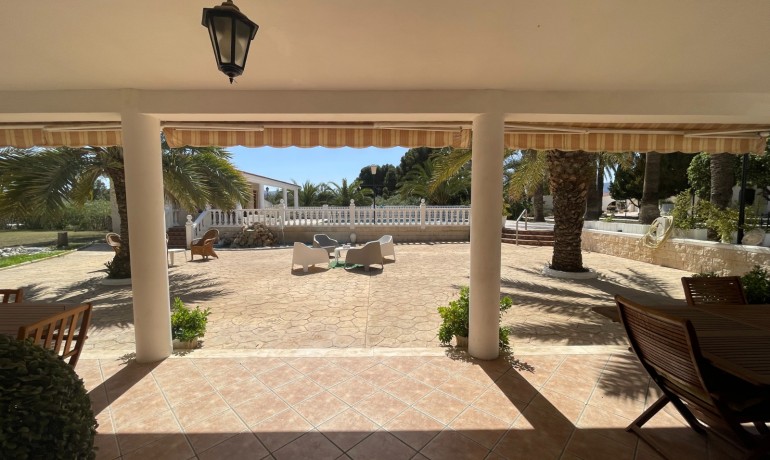 Revente - Finca Country Property -
Elda