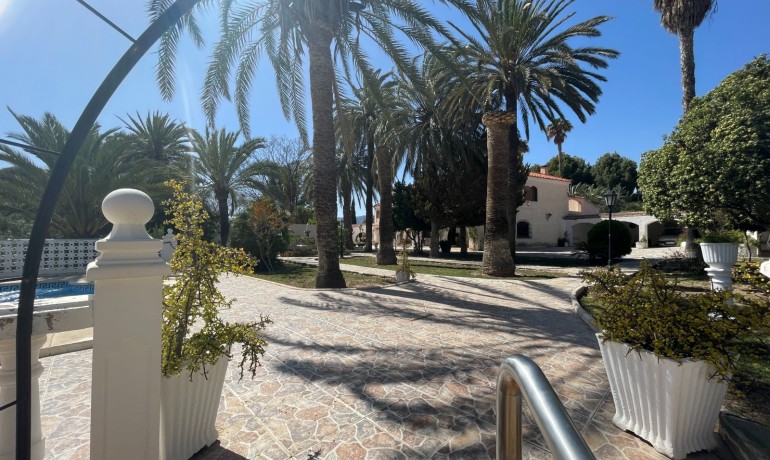 Revente - Finca Country Property -
Elda