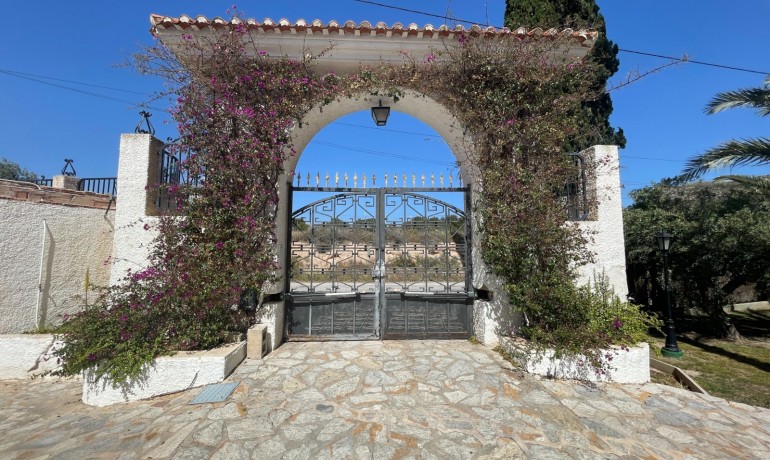 Revente - Finca Country Property -
Elda