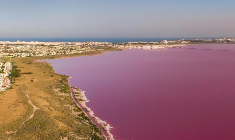 Venta - Villa -
Torrevieja - Torrevieja - Centre