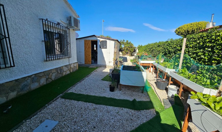 Venta - Villa -
San Fulgencio - San Fulgencio - Town