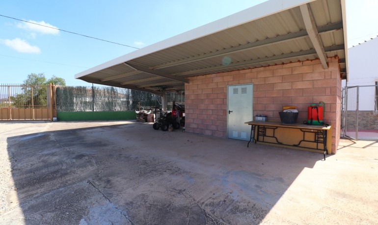 Venta - Finca -
Benferri - Benferri - Country