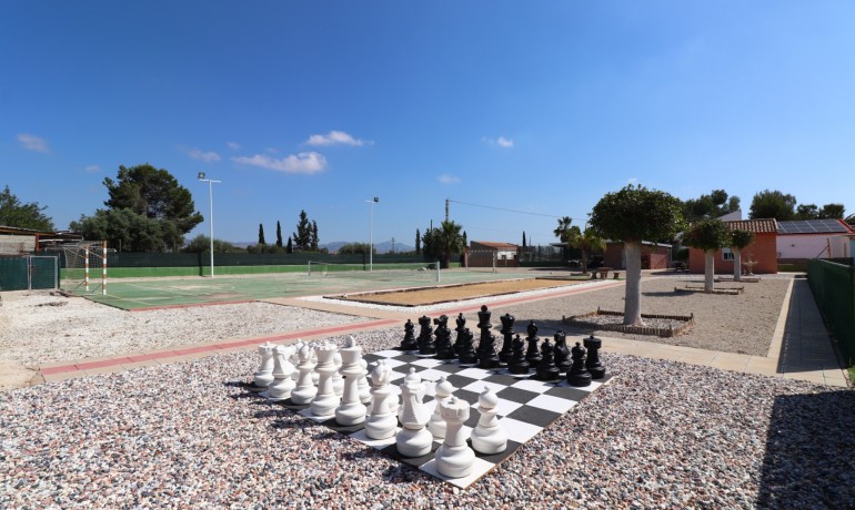 Venta - Finca -
Benferri - Benferri - Country
