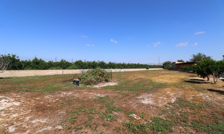 Venta - Finca -
Benferri - Benferri - Country