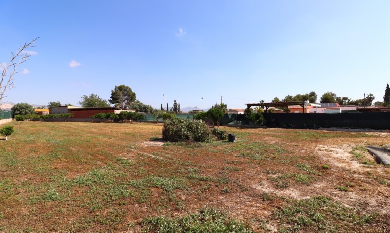 Venta - Finca -
Benferri - Benferri - Country