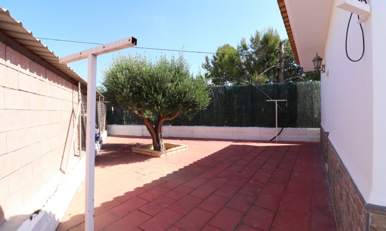 Venta - Finca -
Benferri - Benferri - Country