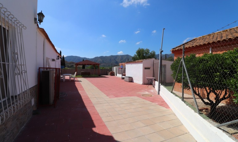Venta - Finca -
Benferri - Benferri - Country