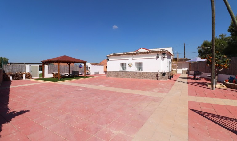 Venta - Finca -
Benferri - Benferri - Country
