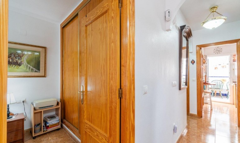 Venta - Casa -
Orihuela Costa - PAU 8