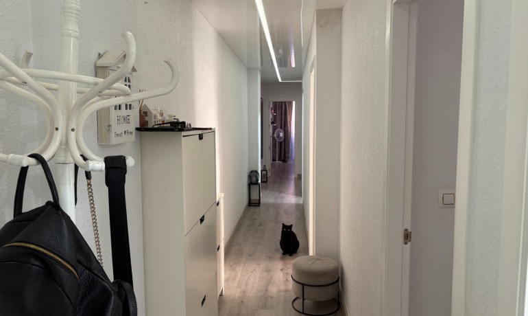 Venta - Apartamento / piso -
Torrevieja - Centro