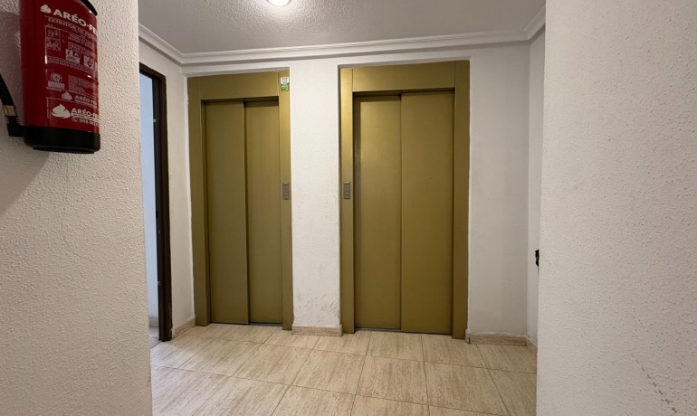Venta - Apartamento / piso -
Torrevieja - Centro