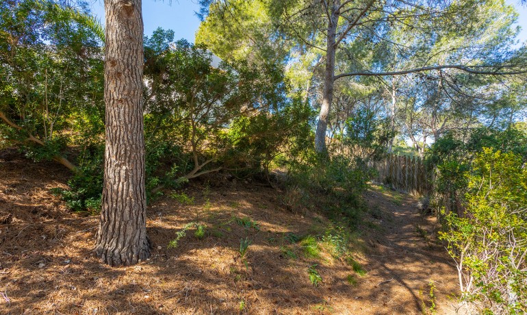 Venta - Villa -
Orihuela Costa - Villamartin