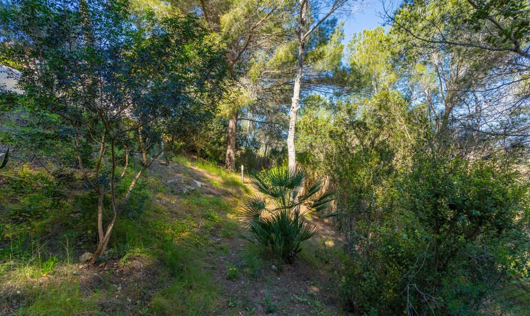 Venta - Villa -
Orihuela Costa - Villamartin