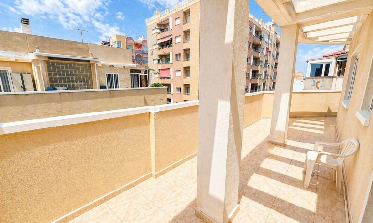 Venta - Apartamento / piso -
Torrevieja - Centro