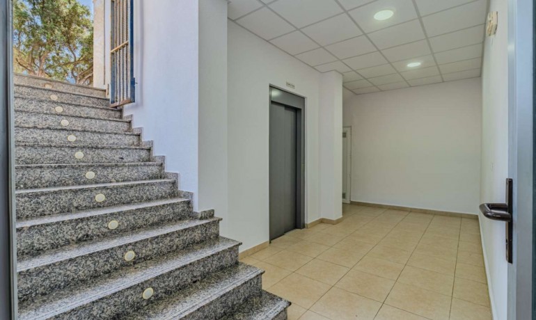 Venta - Comercial -
Torrevieja - Nueva Torrevieja - Aguas Nuevas