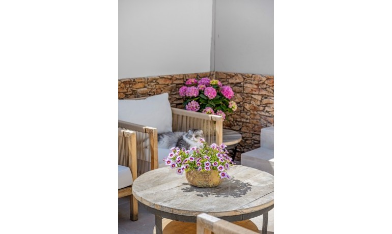 Venta - Casa -
Alicante - Playa San Juan